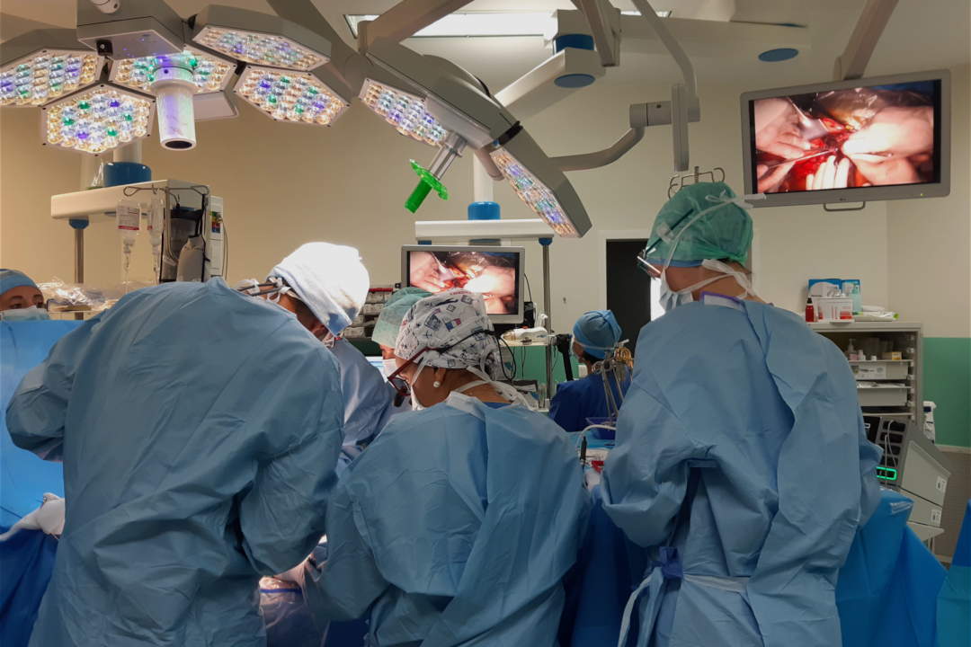 H��patologie - Lyon 1