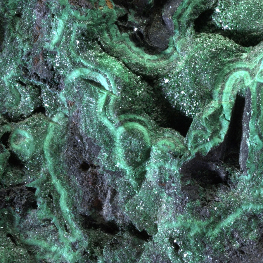 Collections G��ologie